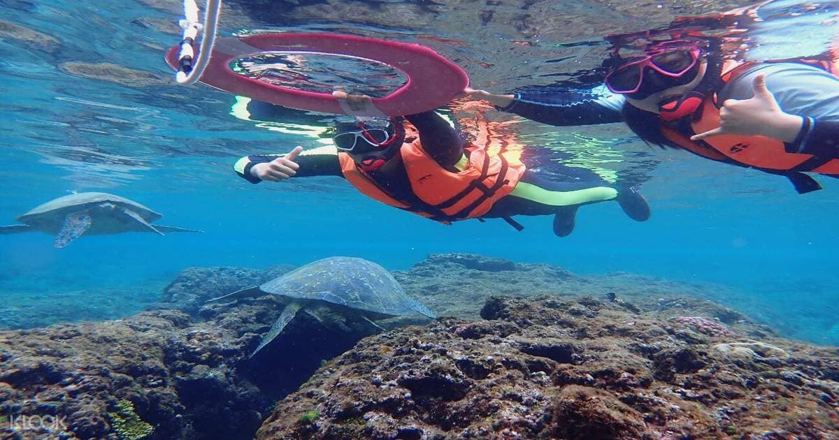Snorkeling in Liuqiu