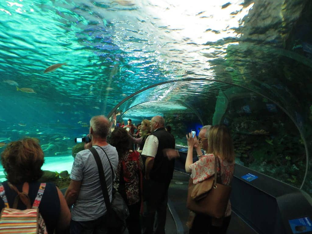 Ripley's Aquarium